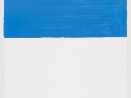 Callum Innes - C. Blue - 2011 Cheap