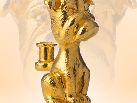 24K Gold-plated  Frog Pose Frenchie Rig Discount