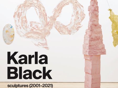 Karla Black sculptures (2001-2020) details for a restrospective Poster Fashion