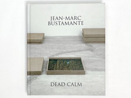 Jean Marc Bustamante, Dead Calm Online Hot Sale