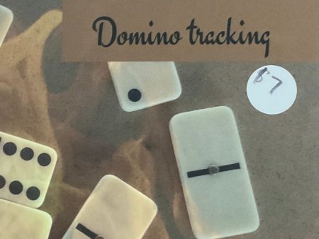 Domino Tracking Journal Supply