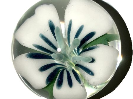 Flower Implosion Marble (White Unobtainium Aqua) Cheap