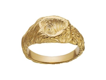 Gigi Ring - Sterling Silver (925) Gold Pla For Sale