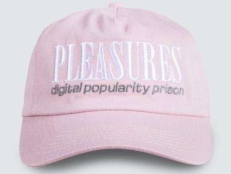 Digital Snapback (Mauve) Supply